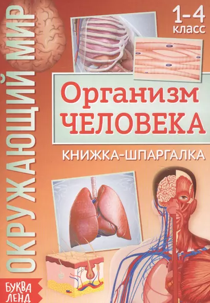 Окружающий мир. Организм человека. Книжка-шпаргалка для 1-4 класса - фото 1