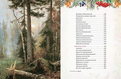 Русский лес. Грибы и ягоды - фото 5