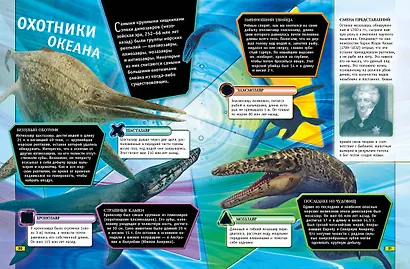 Животные. Книга юного эрудита - фото 5