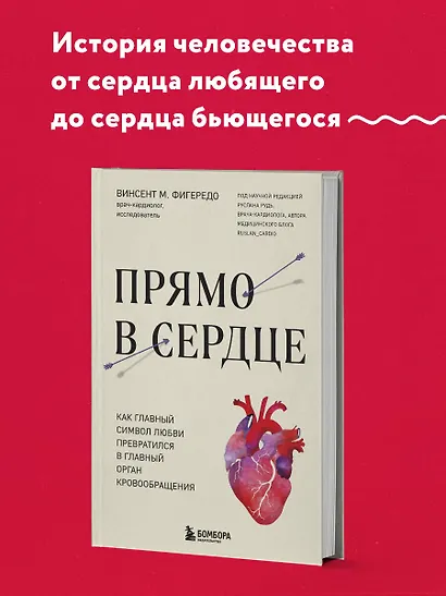 Прямо в сердце. Как главный символ любви превратился в главный орган кровообращения - фото 9
