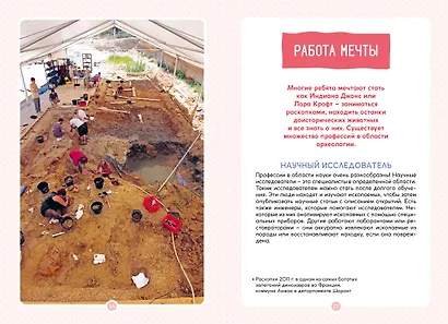 Древний мир. Окаменелости. Животные и растения. Наши предки - фото 14