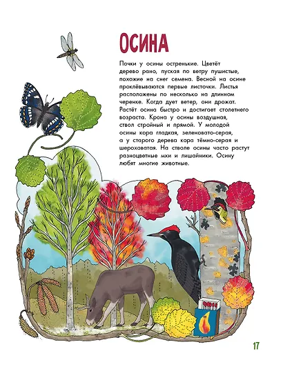 Деревья - фото 10