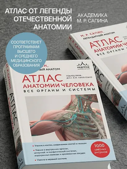 Атлас анатомии человека. Все органы и системы - фото 5