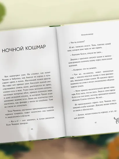Черный кот предлагает сделку. Роман-лауреат корейской литературной премии Чангби - фото 9