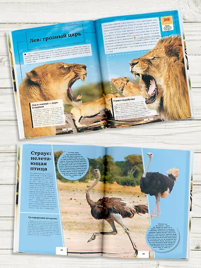 Животные. Твоя первая энциклопедия с дополненной реальностью - фото 3