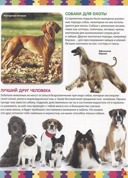 Моя первая книга о собаках и щенках. Детская энциклопедия - фото 3
