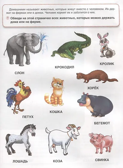 Домашние животные (обучающая активити +50). - фото 2