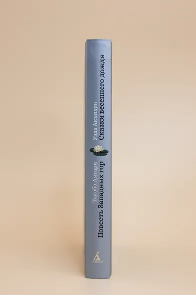 Сказки весеннего дождя. Повесть Западных гор - фото 8