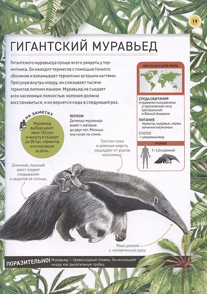 Удивительные животные. Полная энциклопедия - фото 8