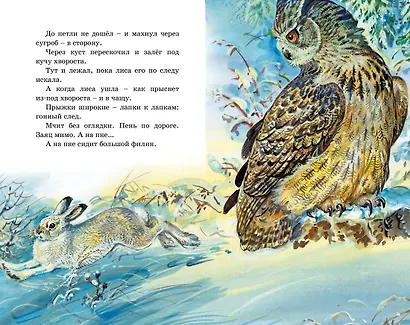 Рассказы о животных - фото 11