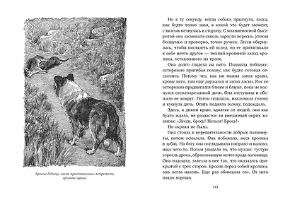 Лесси - фото 7