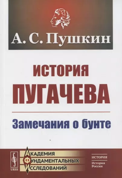 История Пугачева: Замечания о бунте - фото 1