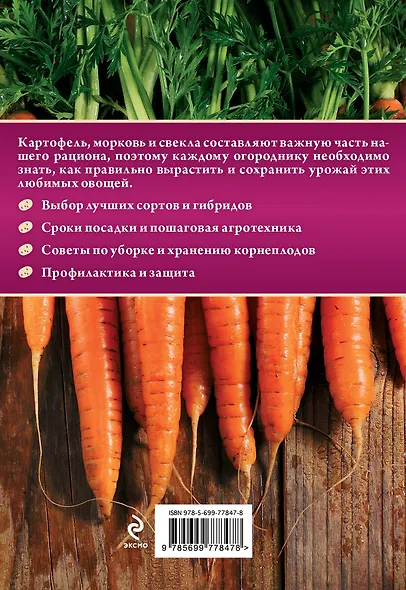 Картофель, морковь, свекла - фото 2