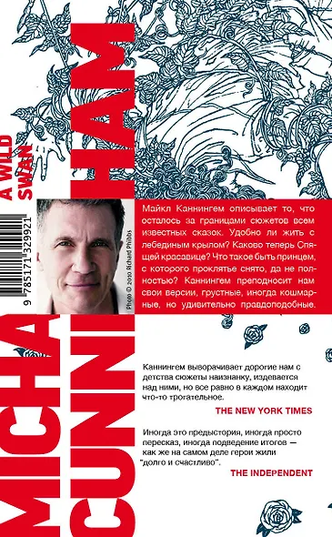 Дикий лебедь и другие сказки - фото 2