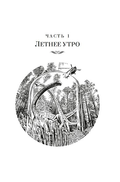 Похищение чародея - фото 13