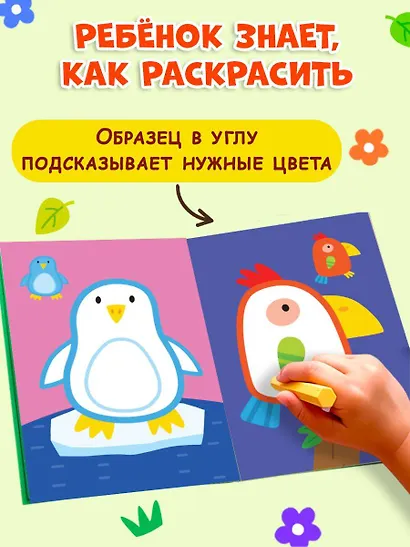 Раскраска с цветным контуром (Улитка) - фото 6