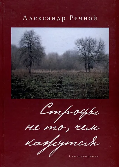 Строфы не то, чем кажутся - фото 1