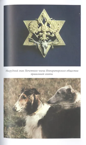 Русская псовая борзая. С древнейших времен до наших дней - фото 15