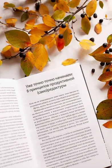 Причеши меня. Твой текст. Редактура художественной прозы: от стиля до сюжета - фото 5