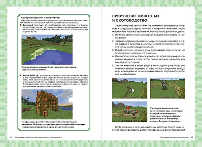 Комплект из 3-х книг. Набор юного майнкрафтера. Новый уровень - фото 6