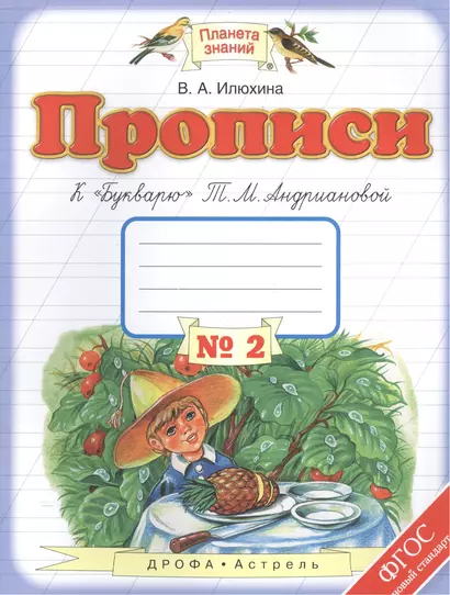 Прописи к "Букварю" Т.М. Андриановой : 1-й класс: в 4-х тетрадях: тетрадь " № 2. ФГОС - фото 1