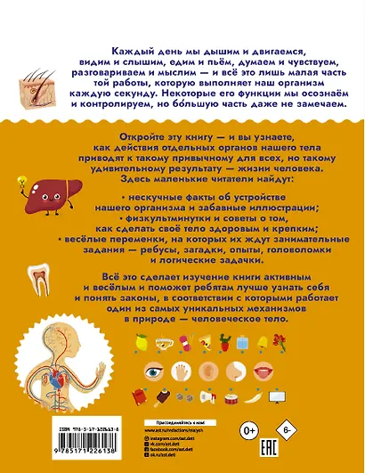 Тело человека - фото 2