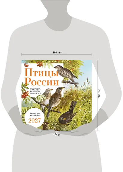 Птицы России: когда ждать, где искать, как отличать. Календарь настенный на 2027 год (300х300 мм) - фото 8