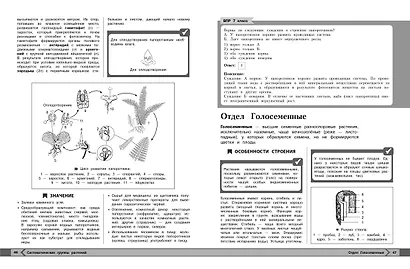 Биология - фото 6