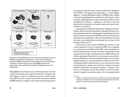 Редактируя человечество: Революция CRISPR и новая эра изменения генома - фото 8