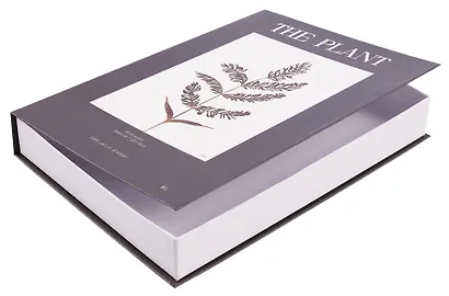 Коробка подарочная "Растение" 25*18*3,8 картон, на магните - фото 5