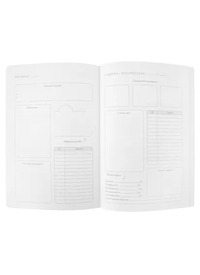 Visual planner: Цели. Мечты. Достижения. Ежедневник (ежевика) - фото 6