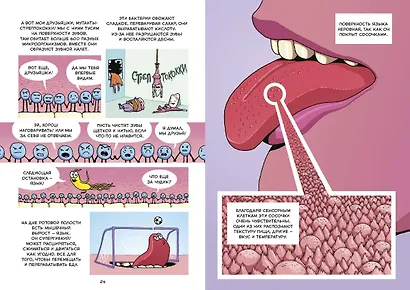 Пищеварение. Научный комикс - фото 5