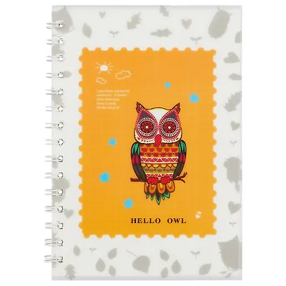 Тетрадь в клетку Hai Bin, Hello owl, 80 листов, в ассортименте - фото 3
