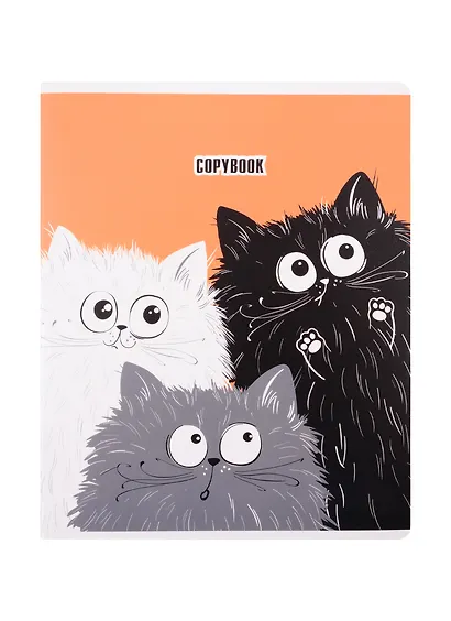 Тетрадь в клетку Феникс+, "Удивлённые коты", 48 листов, в ассортименте - фото 1