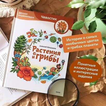 Растения и грибы. Детская энциклопедия (Чевостик) - фото 5