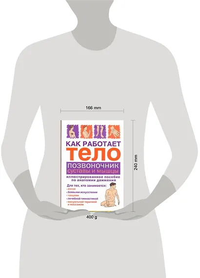 Как работает тело.Позвоночниксуставы и мышцы - фото 2