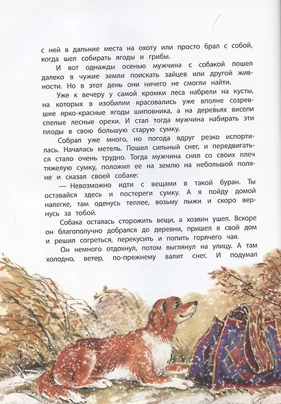 Дикая кошка - фото 5