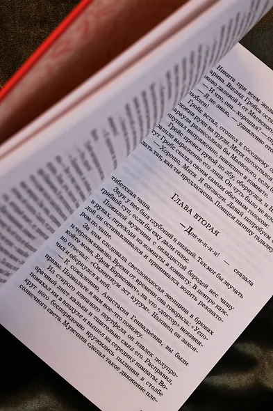 Королевский аркан - фото 12