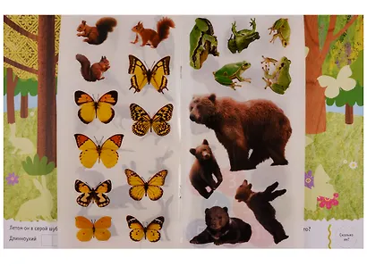 Мир природы. Фотонаклейки. В лесу - фото 4