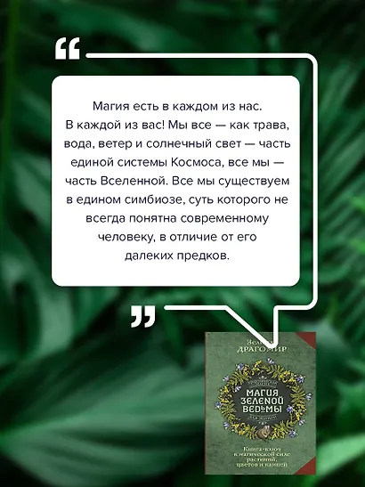 Магия зеленой ведьмы. Книга-ключ к магической силе растений, цветов и камней - фото 7