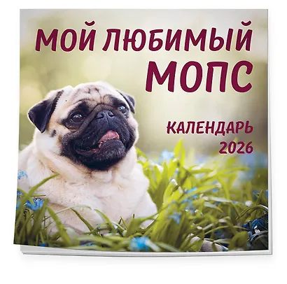 Мой любимый мопс. Календарь настенный на 2026 год (300х300 мм) - фото 2