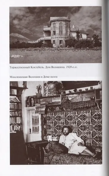 Черубина де Габриак. Неверная комета - фото 5