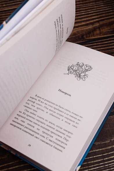 Белая книга - фото 11