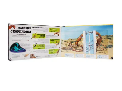 Хищник - фото 4