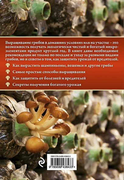 Грибы. Выращиваем сами - фото 2