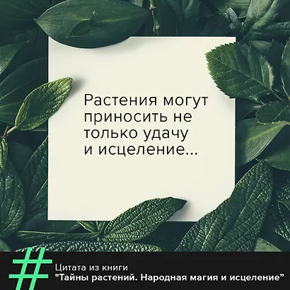 Тайны растений. Народная магия и исцеление - фото 4