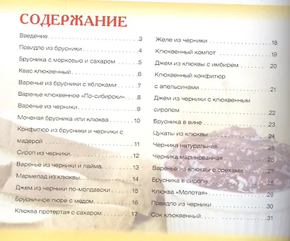 Заготовки из брусники, черники и клюквы+32 наклейки на банки внутри - фото 2