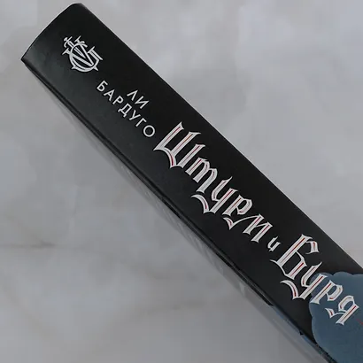 Штурм и буря - фото 9