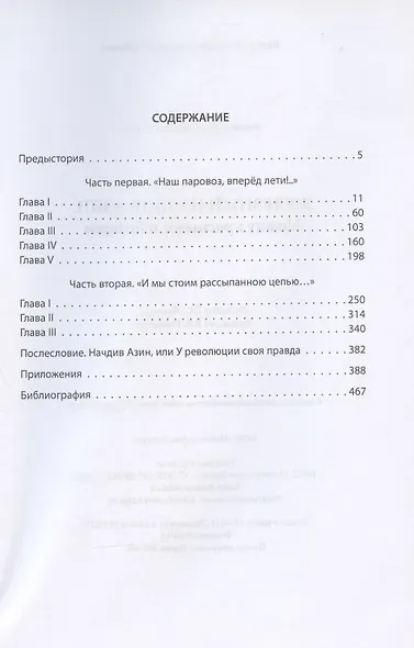 Железный начдив Азин. Между красными и белыми - фото 2