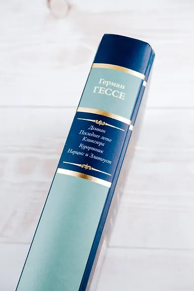 Демиан. Последнее лето Клингзора. Курортник. Нарцисс и Златоуст - фото 7